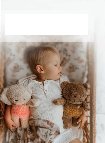 szumiś miś brązowy z lampką 5w1 szumisie