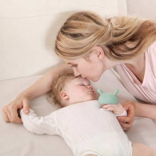 Mombella Grzybek Gryzak Mushroom Eucalyptus