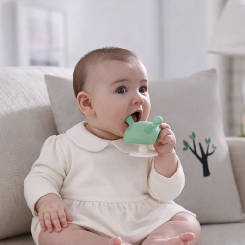 Mombella Grzybek Gryzak Mushroom Eucalyptus