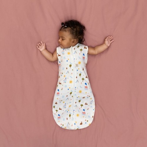 ergoPouch Otulacz Śpiworek 3-6 M 1.0TOG Daydream