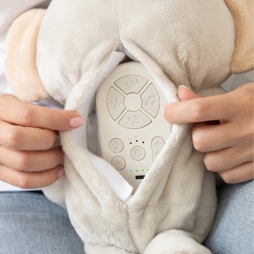 Tiny Love Oddychająca przytulanka - Koala Snuggly Buddy