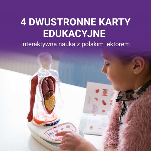 Science Can Ciało Człowieka Interaktywny model 3D 6+ top bright