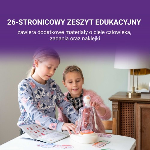 Science Can Ciało Człowieka Interaktywny model 3D 6+ top bright